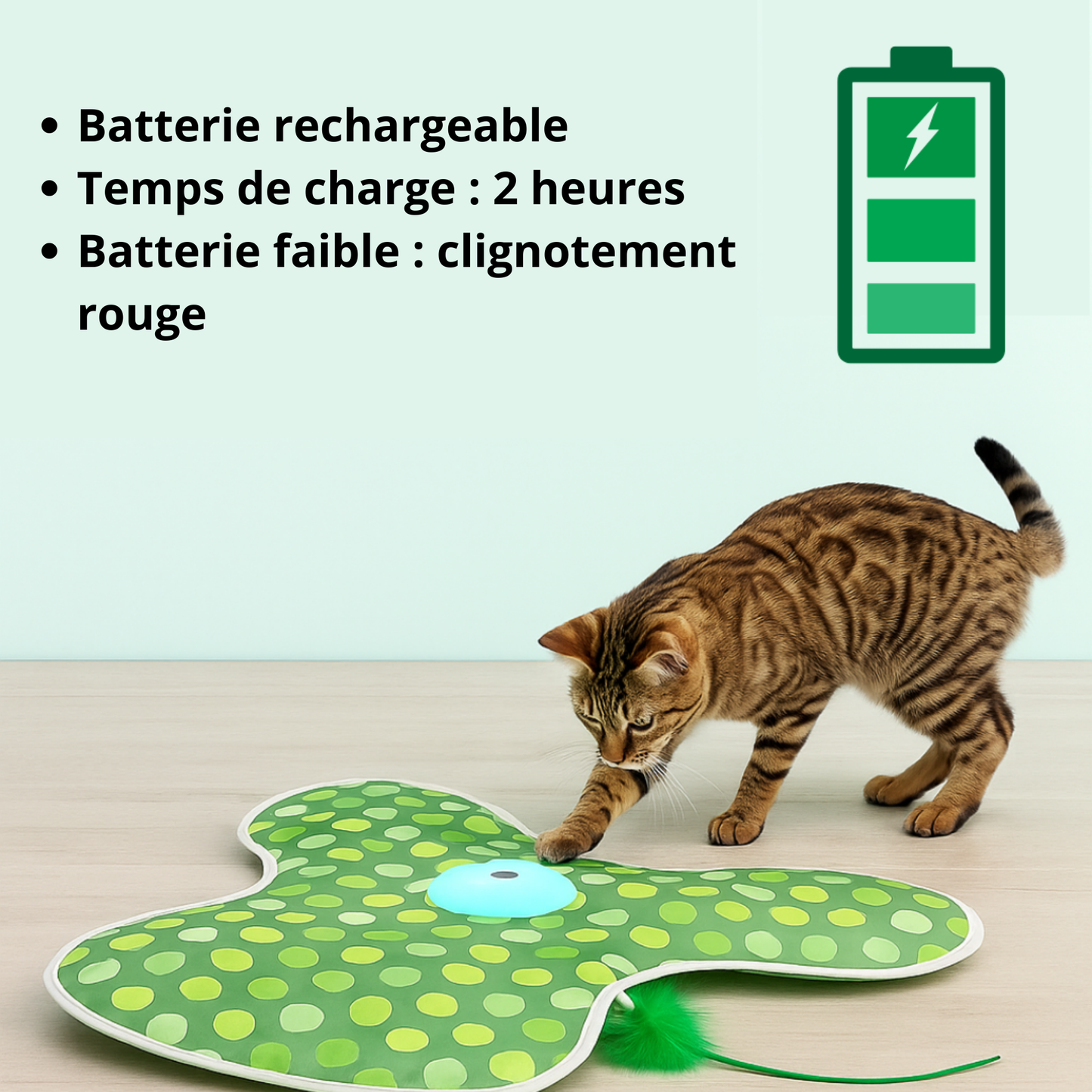 ZANRYO - Jouet Interactif pour Chat