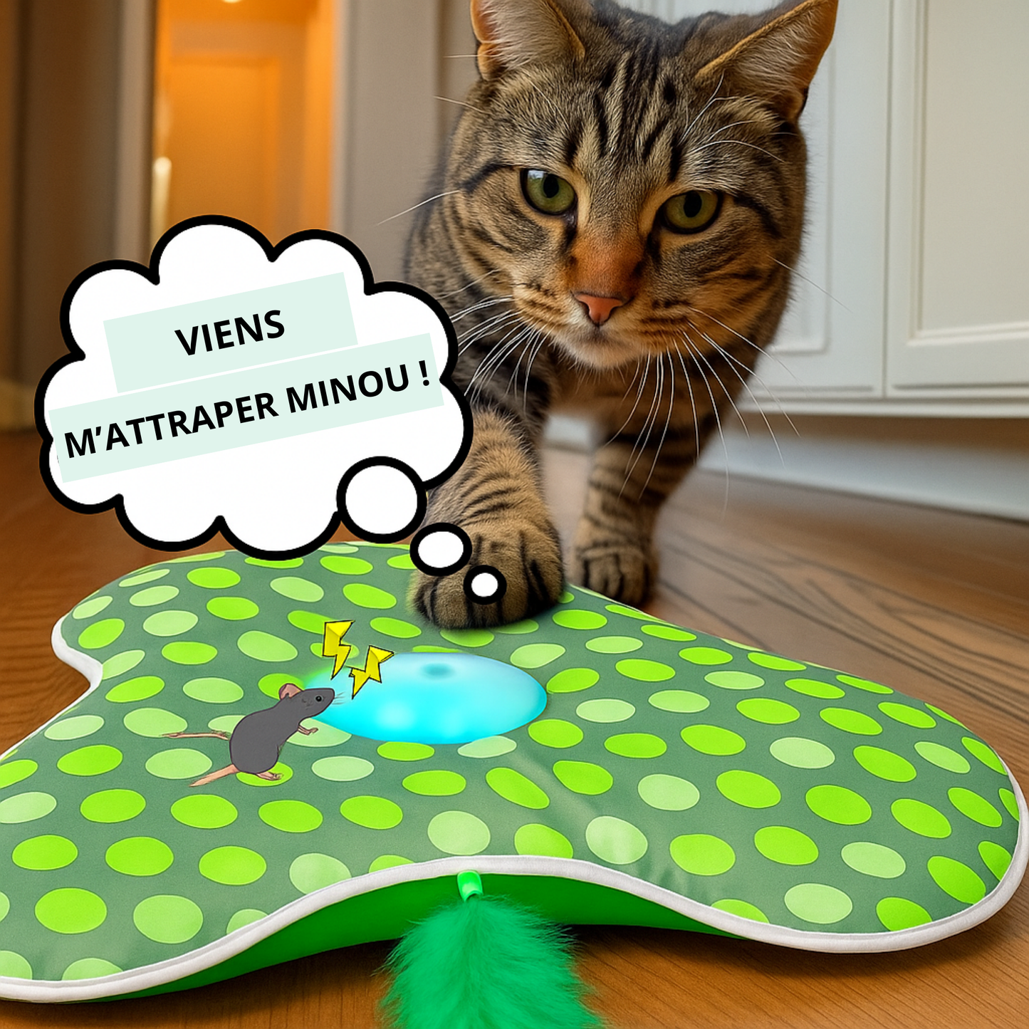 ZANRYO - Jouet Interactif pour Chat