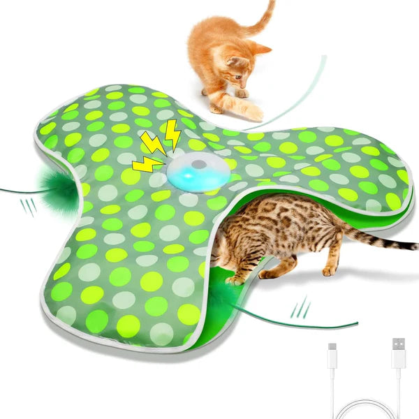 ZANRYO - Jouet Interactif pour Chat